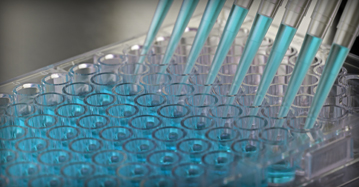 Assay Kits
